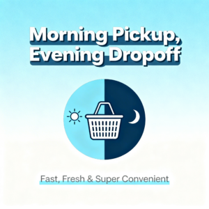 Book same day wash and fold service